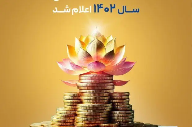 سود مشارکت در منافع سال ۱۴۰۲ اعلام شد
