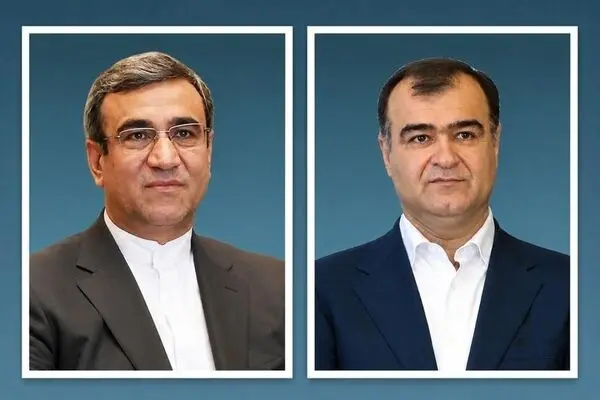 تمهیدات ویژه صنعت بیمه برای مراسم تشییع در مشهد/ پوشش بیمه‌ای برای تمام زائران
