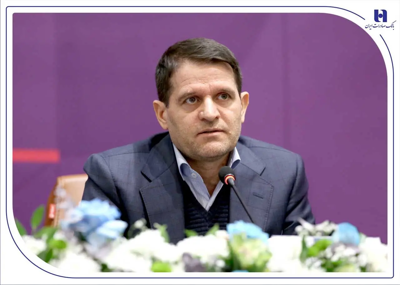 معاون وزیر نفت و مدیرعامل شرکت ملی صنایع پتروشیمی: توسعه سرمایه‌گذاری در پتروشیمی بدون بانک‌های بزرگ امکان‌پذیر نیست
