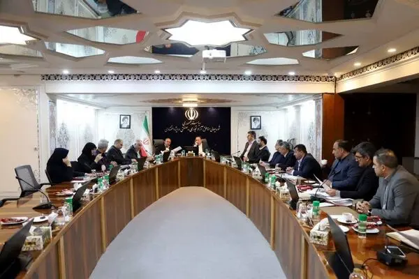 بررسی مسائل گمرکی مناطق آزاد در نشست مشترک دبیر شورای‌عالی و رئیس‌کل گمرک ایران
