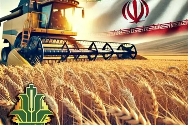 خرید تضمینی ۱۲ میلیون تن گندم با عاملیت بانک کشاورزی
