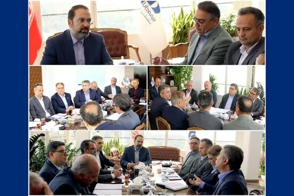 تاکید مدیرعامل بیمه دانا بر نقش محوری شعب در تحقق اهداف
