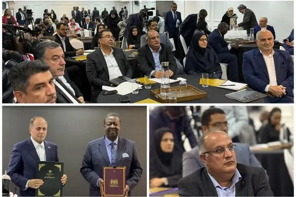گام بلند مناطق آزاد برای ورود به بازارهای آفریقا
