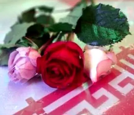 اهدای گل به تعداد شهدای جنگ رمضان در راهپیمایی غدیر 