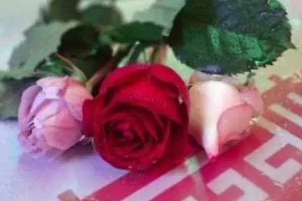اهدای گل به تعداد شهدای جنگ رمضان در راهپیمایی غدیر 
