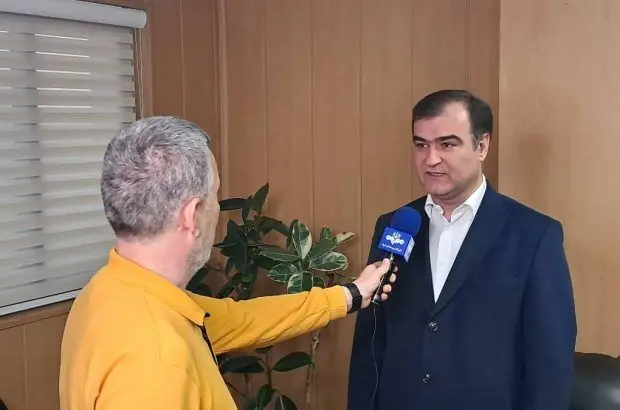 نقش بیمه البرز در تامین مالی تولید
