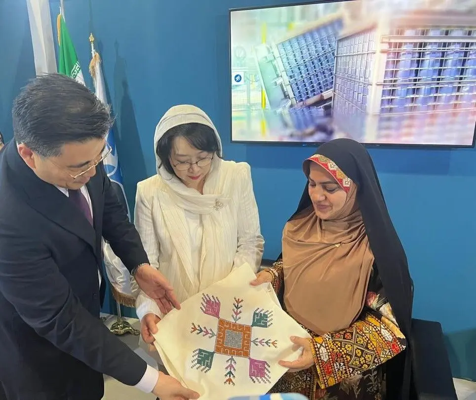 دیدار مدیر عامل سازمان منطقه آزاد چابهار و سفیر کره جنوبی در جزیره قشم
