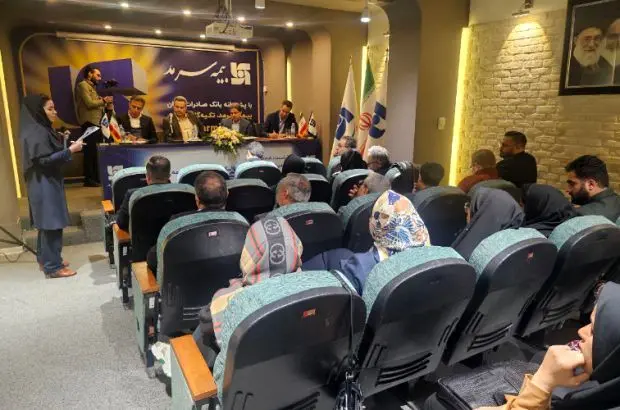 مدیرعامل بیمه سرمد از شعبه خراسان رضوی بازدید کرد
