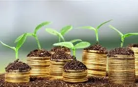 چرا کاربرد راهبرد های اقتصاد سبز مهم است؟
