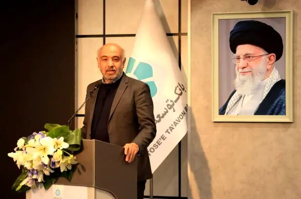 بانک توسعه تعاون می تواند حلقه واسط بین کسب و کارهای کوچک و خانگی با شرکت های بزرگ باشد

