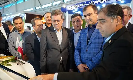 توسعه سامانه های برخط؛ یاقوت البرز درخشنده تر شد
