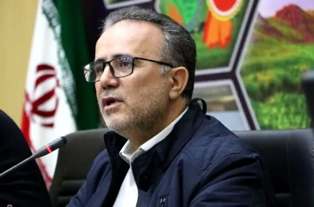بانک توسعه تعاون نماد ارتقای اقتصاد تعاونی پس از انقلاب است
