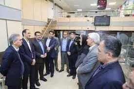 بازدید دکتر نجارزاده از برخی شعب انتقال یافته موسسه اعتباری نور به بانک ملی ایران
