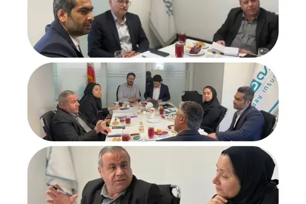 بررسی خدمات درمانی به خانواده های معظم  ایثارگر در شمیرانات
