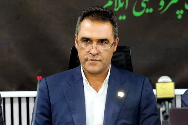 مدیرعامل پتروشیمی ایلام منصوب شد
