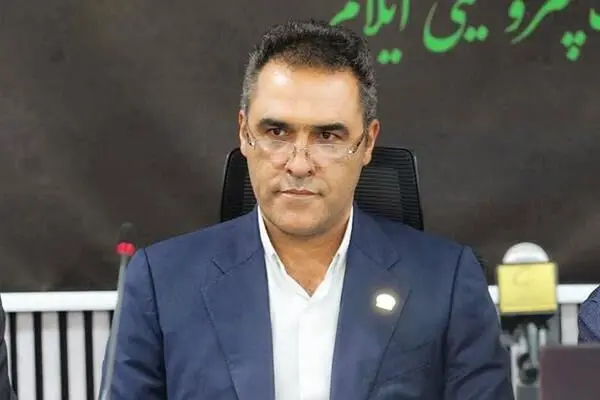 مدیرعامل پتروشیمی ایلام منصوب شد
