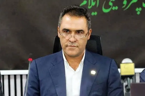 مدیرعامل پتروشیمی ایلام منصوب شد
