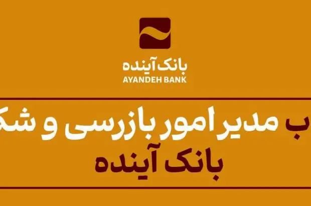 انتصاب مدیر امور بازرسی و شکایات بانک آینده
