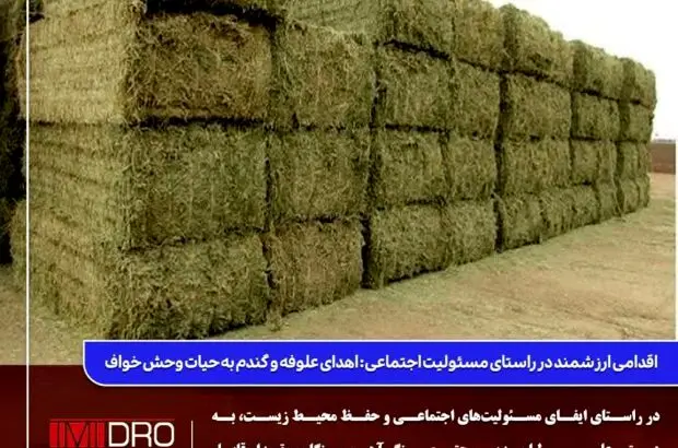 اهدای علوفه و گندم به حیات وحش خواف
