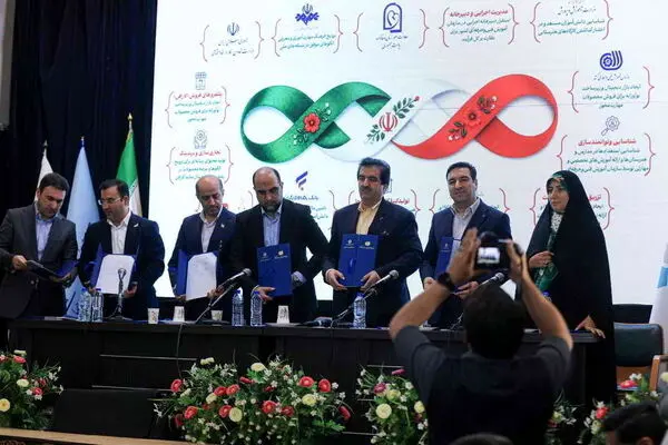 مشارکت بانک توسعه تعاون در حمایت از کسب‌وکارهای مهارت‌محور