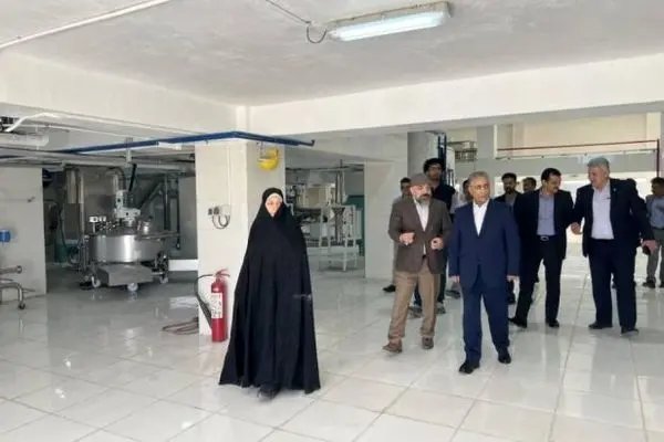 بازگشت”ایلیا ذرت سبز” به چرخه تولید در غرب کشور
