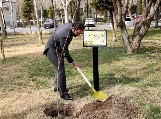 کاشت نهال توسط مدیرعامل بانک کشاورزی به مناسبت روز درختکاری/ حفظ محیط زیست، وظیفه سرزمینی است
