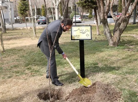 کاشت نهال توسط مدیرعامل بانک کشاورزی به مناسبت روز درختکاری/ حفظ محیط زیست، وظیفه سرزمینی است
