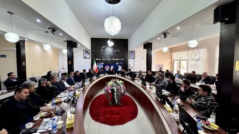 کارگروه‌های تخصصی رفع موانع اقتصادی در منطقه آزاد ماکو تشکیل می‌شود
