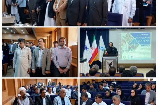 برگزاری سومین سمپوزیوم ملی لاکپشت‌های دریایی به میزبانی سازمان منطقه آزاد چابهار
