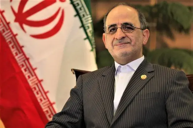 سید محمد ناصر مبرقعی سرپرست بیمه ایران شد
