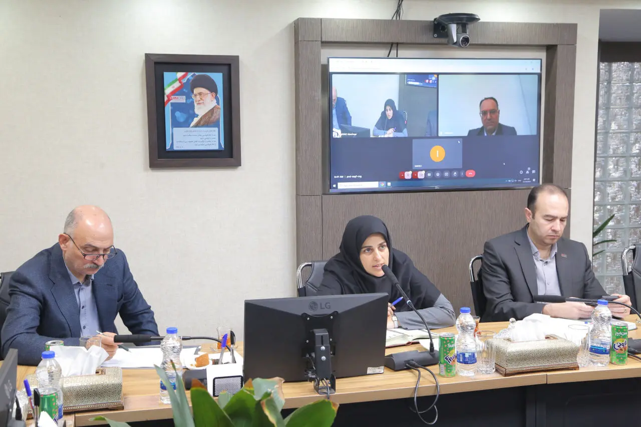 تاکید ایمیدرو برای استفاده از پتانسیل های صادرات معدن و صنایع معدنی به حوزه اوراسیا
