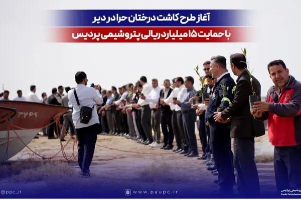 آغاز طرح کاشت درختان حرا در دیر با حمایت ۱۵ میلیارد ریالی پتروشیمی پردیس
