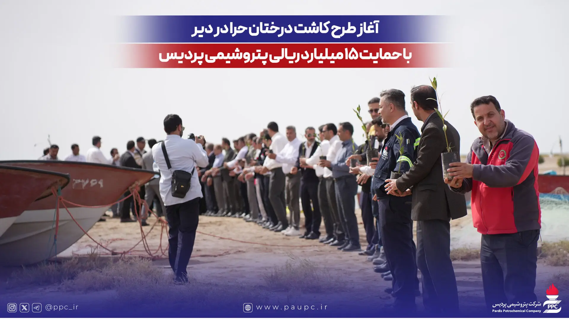 آغاز طرح کاشت درختان حرا در دیر با حمایت ۱۵ میلیارد ریالی پتروشیمی پردیس
