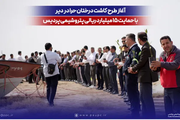 آغاز طرح کاشت درختان حرا در دیر با حمایت ۱۵ میلیارد ریالی پتروشیمی پردیس
