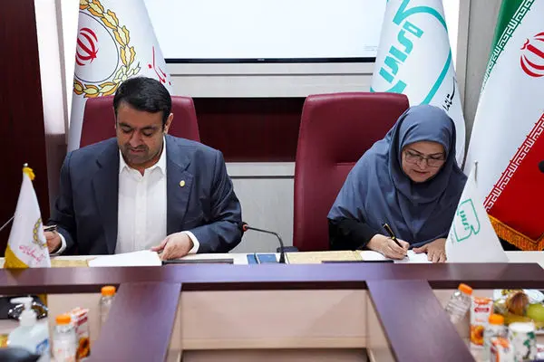 نجارزاده : ارائه خدمات مالی بر بستر استانداردهای نوین
