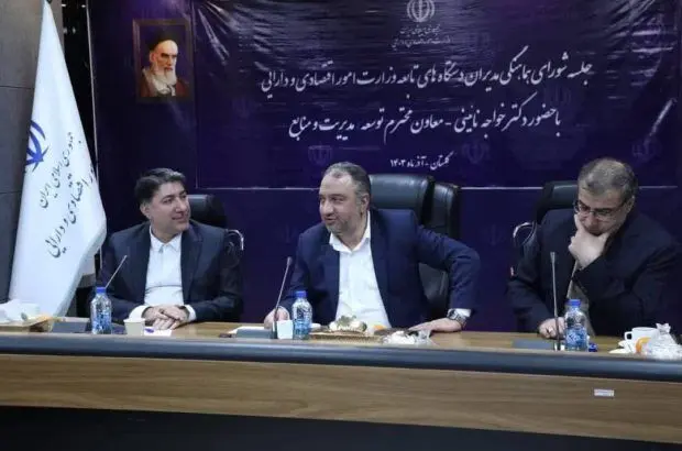 قدردانی معاون توسعه و مدیریت منابع وزارت اقتصاد از عملکرد صندوق تامین خسارت‌های بدنی
