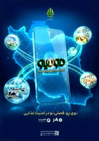 طرح جدید دولت برای تامین نقدینگی واحدهای تولیدی دام و طیور عملیاتی شد
