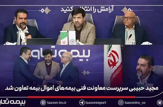 مجید حبیبی سرپرست معاونت فنی بیمه‌های اموال بیمه تعاون شد
