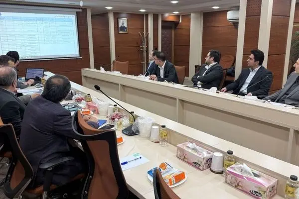 برگزاری جلسات عملکرد ۹ ماهه و بودجه ۱۴۰۵ شرکت‌های تجلی و ایمپادکو در هلدینگ ومعادن
