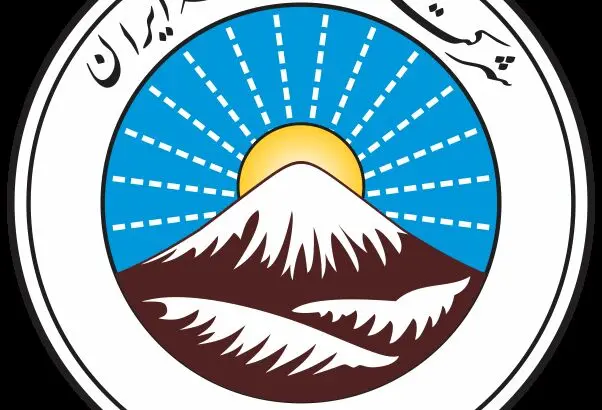 ارتقای وضعیت بهره‌وری بیمه ایران در کارگروه شرکت‌های دولتی

