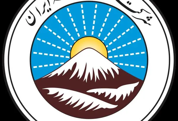 ارتقای وضعیت بهره‌وری بیمه ایران در کارگروه شرکت‌های دولتی

