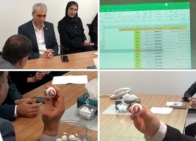 برندگان جشنواره پرتو در بخش بیمه‌گذاران مشخص شدند
