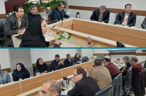 حضور دبیرکل سندیکای بیمه‌گران ایران در جلسه مدیران شورای عالی بیمه سلامت
