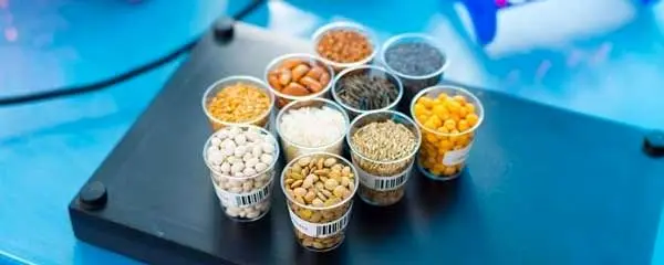 حمایت ۵۰ هزار میلیارد ریالی بانک کشاورزی از تولید بذور مقاوم و پربازده
