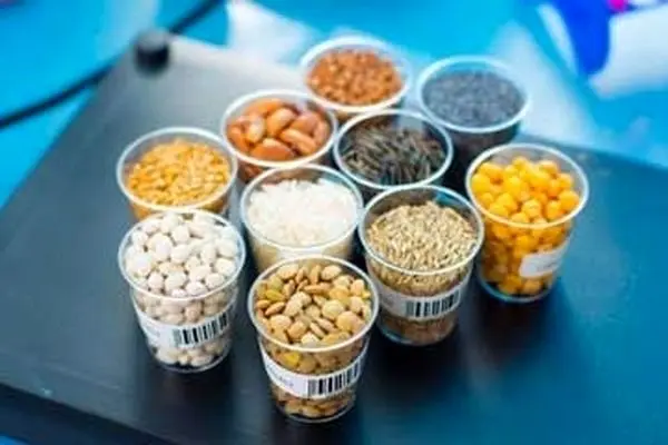 حمایت ۵۰ هزار میلیارد ریالی بانک کشاورزی از تولید بذور مقاوم و پربازده
