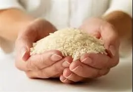 بازار واردات برنج به کدام سو می رود؟

