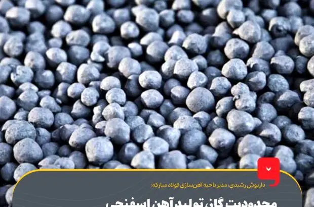 محدودیت گاز، تولید آهن اسفنجی در فولاد مبارکه را به صفر رساند