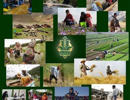 رشد ۹ برابری تسهیلات قرض الحسنه اشتغالزایی بانک کشاورزی در سال جاری
