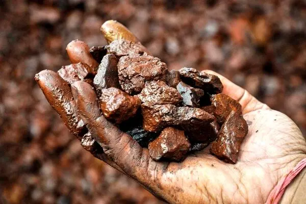 شرکت دولتی چین خواستار بررسی دقیق سنگ آهن فورتسکیو شد